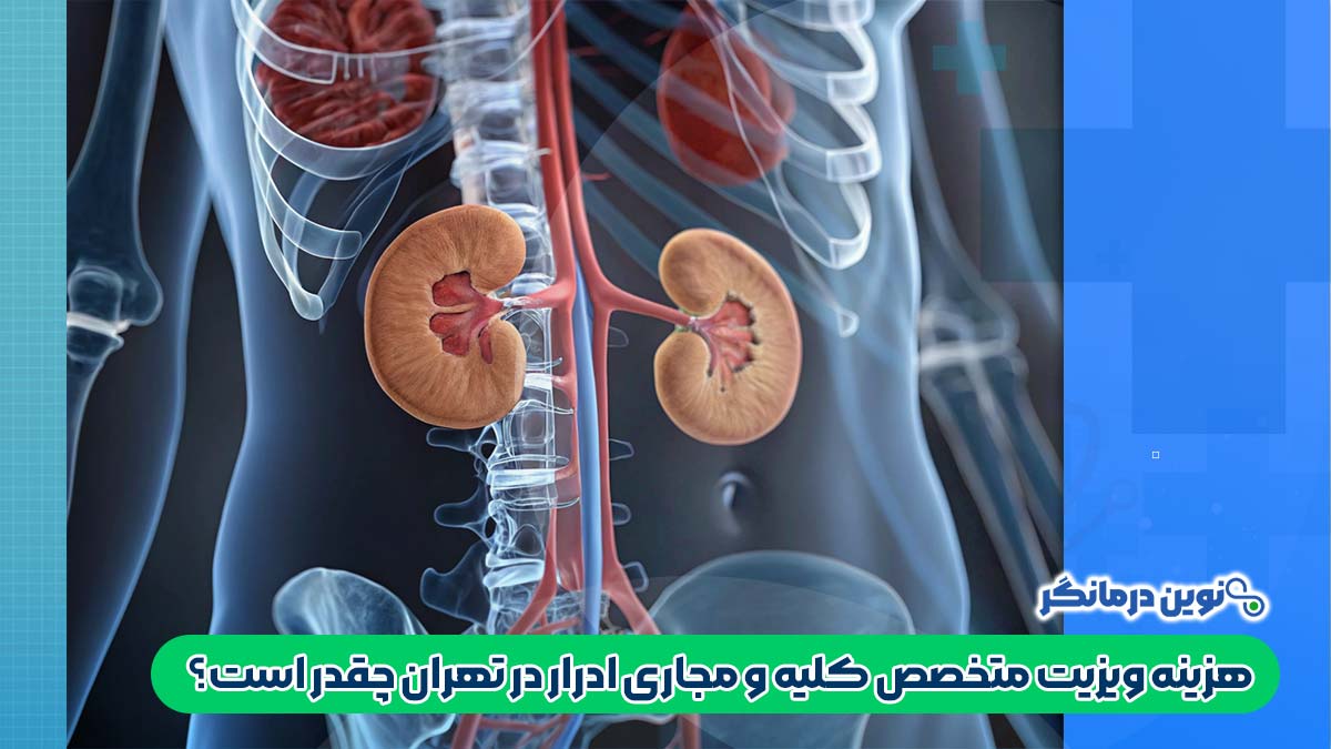 هزینه ویزیت متخصص کلیه و مجاری ادرار در تهران چقدر است؟