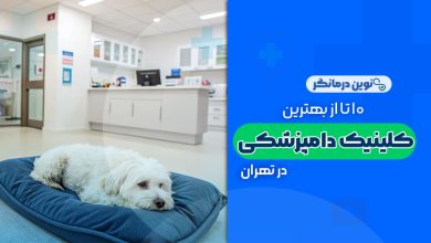 10 تا از بهترین کلینیک های دامپزشکی در تهران