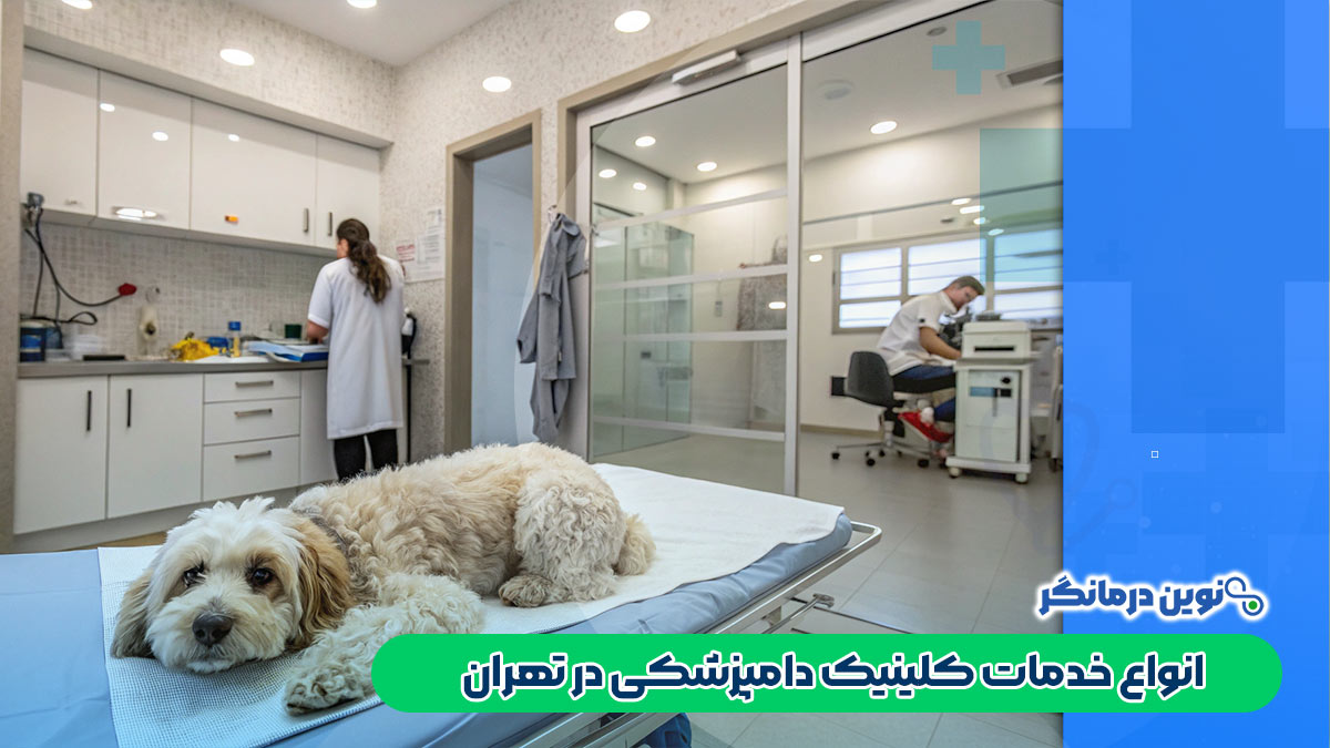 انواع خدمات کلینیک دامپزشکی در تهران