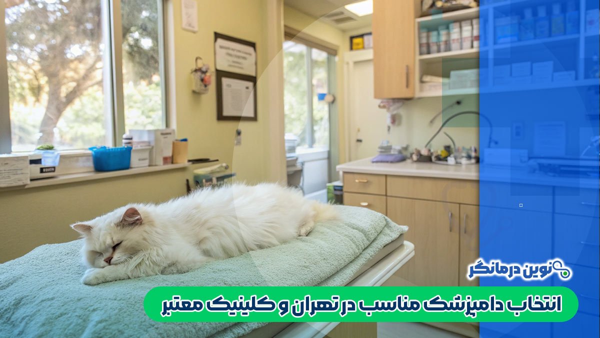 انتخاب دامپزشک مناسب در تهران و کلینیک معتبر
