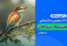 10 تا از بهترین کلینیک های دامپزشکی پرندگان در تهران