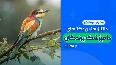 10 تا از بهترین کلینیک های دامپزشکی پرندگان در تهران