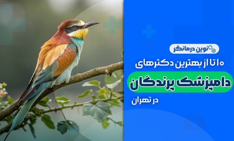 10 تا از بهترین کلینیک های دامپزشکی پرندگان در تهران
