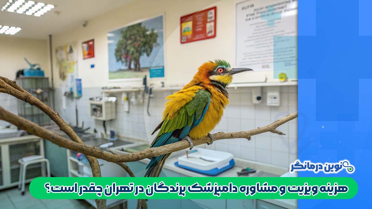 هزینه ویزیت و مشاوره دامپزشک پرندگان در تهران چقدر است؟