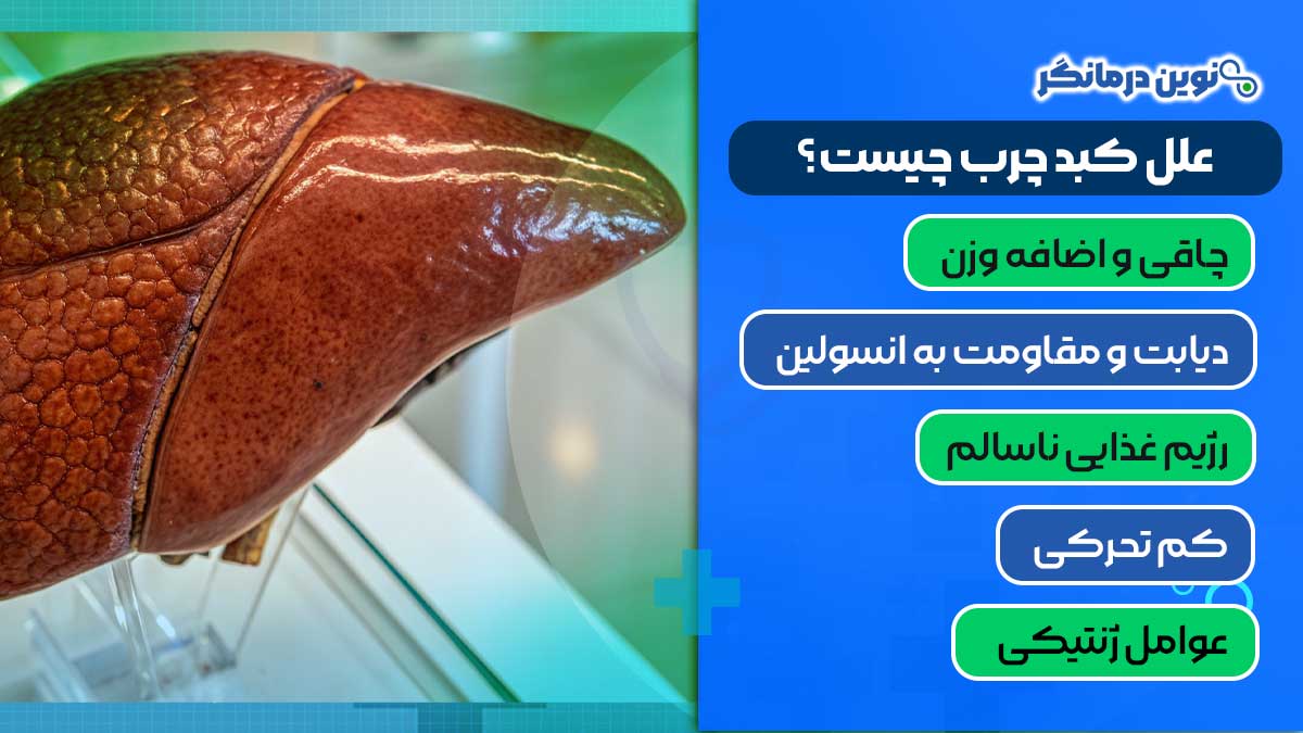 علل کبد چرب چیست؟