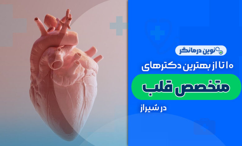 10 تا از بهترین دکترهای متخصص قلب در شیراز