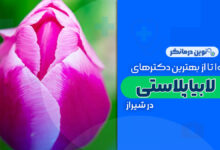 10 تا از بهترین دکترهای لابیاپلاستی در شیراز