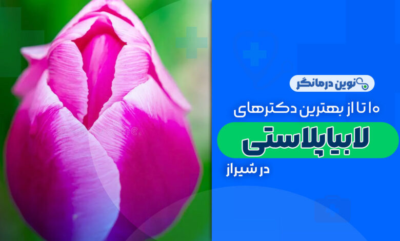 10 تا از بهترین دکترهای لابیاپلاستی در شیراز