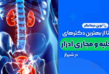 متخصص کلیه و مجاری ادرار در شیراز