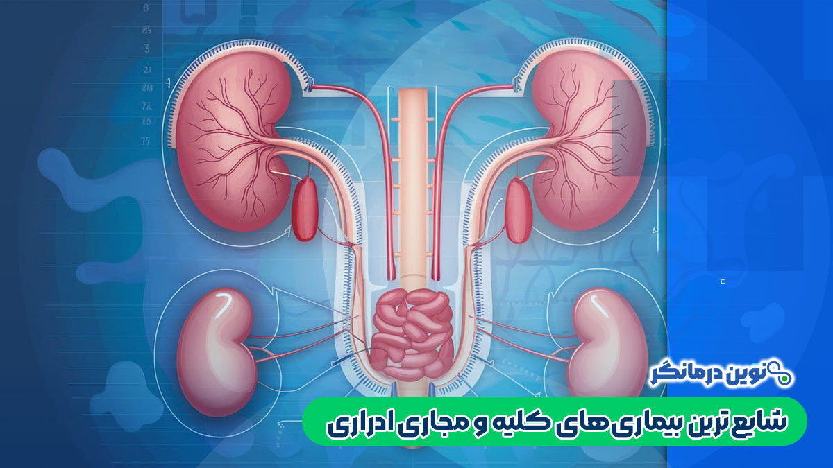 شایع‌ترین بیماری‌های کلیه و مجاری ادراری