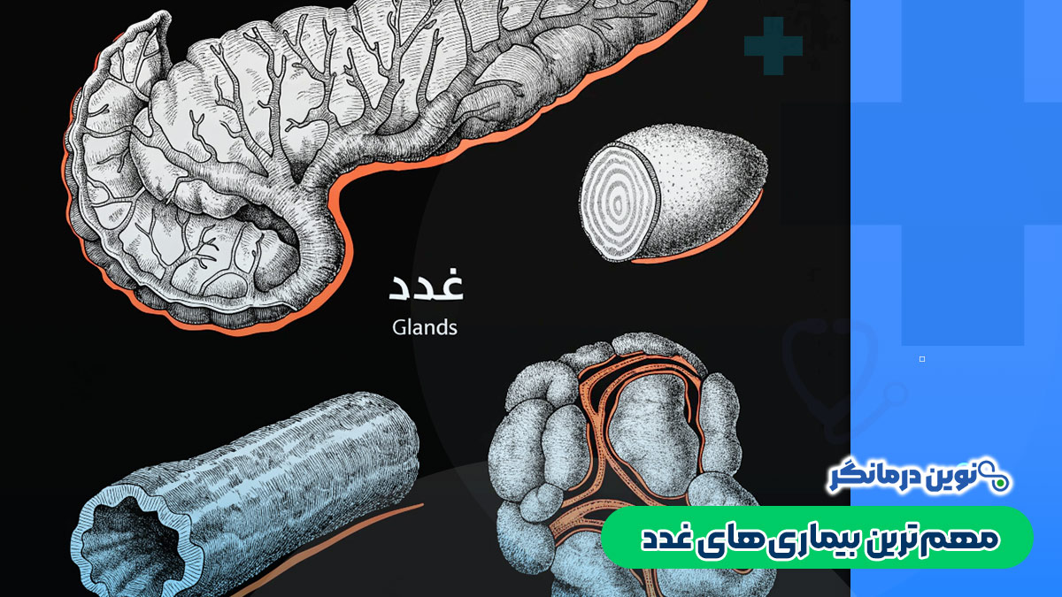 مهم‌ترین بیماری‌های غدد